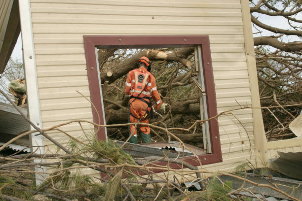 Maysville, GA Tree Services Company